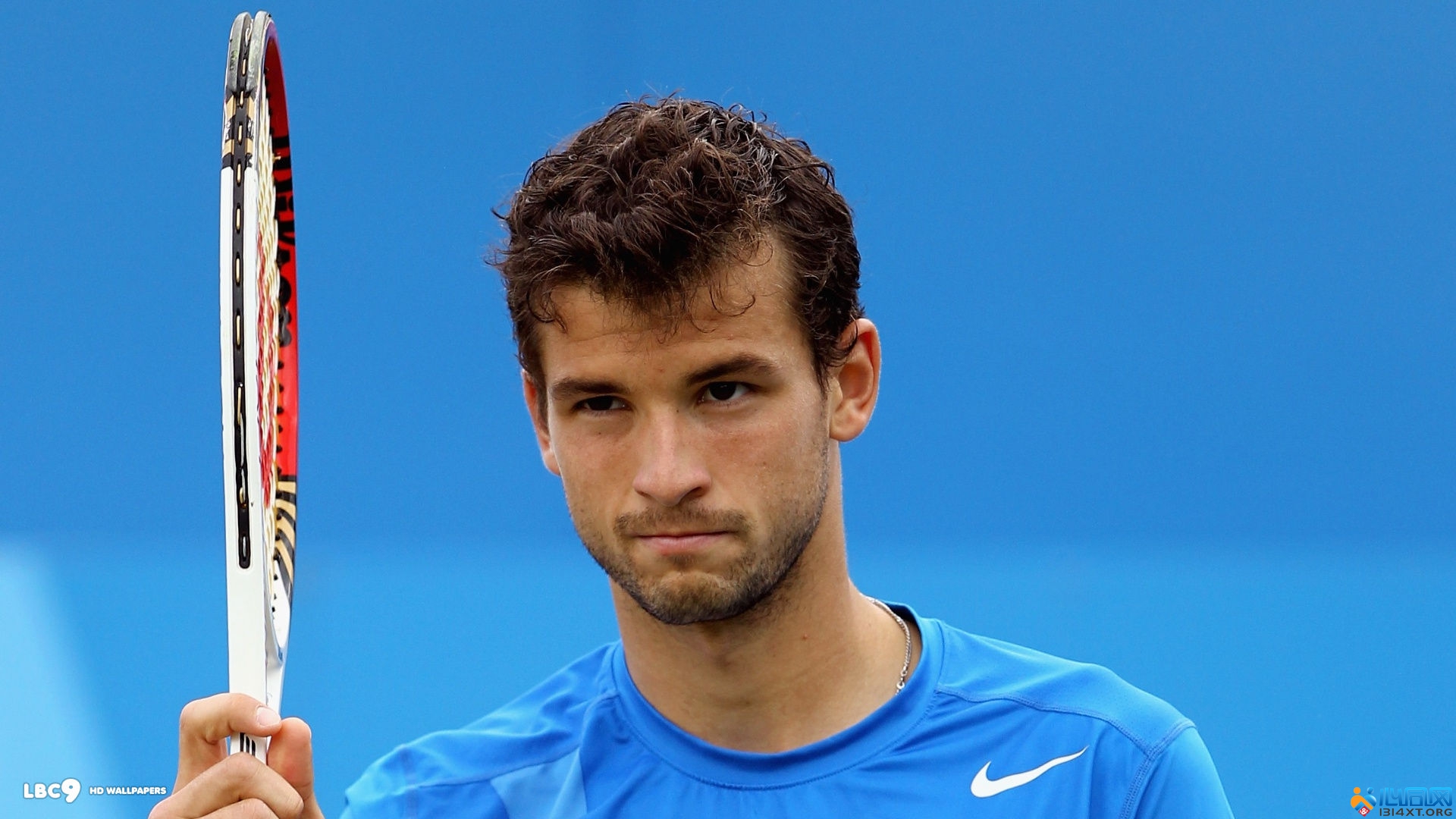 近日德国著 近日德国著